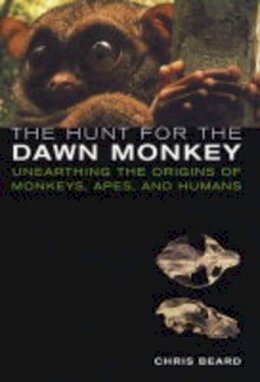 Christopher Beard - The Hunt for the Dawn Monkey: Unearthing the Origins of Monkeys, Apes, and Humans - 9780520233690 - KEX0265183