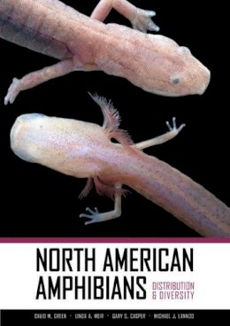 David M (Edi Greene - North American Amphibians: Distribution and Diversity - 9780520266728 - V9780520266728