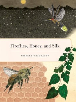 Gilbert Waldbauer - Fireflies, Honey, and Silk - 9780520268074 - V9780520268074