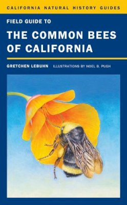 Gretchen Lebuhn - Field Guide to the Common Bees of California: Including Bees of the Western United States - 9780520272835 - V9780520272835