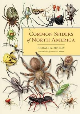 Richard A. Bradley - Common Spiders of North America - 9780520274884 - V9780520274884