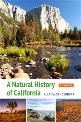 Allan A. Schoenherr - A Natural History of California: Second Edition - 9780520290372 - V9780520290372