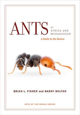 Brian L. Fisher - Ants of Africa and Madagascar: A Guide to the Genera - 9780520290891 - V9780520290891