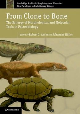 Robert Asher - From Clone to Bone: The Synergy of Morphological and Molecular Tools in Palaeobiology - 9780521176767 - V9780521176767