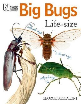 Beccaloni, George - Big Bugs Life-Size - 9780565092139 - V9780565092139