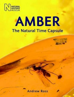 Andrew Ross - Amber: The Natural Time Capsule - 9780565092580 - V9780565092580