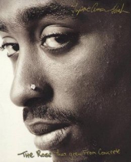 Tupac Shakur - The Rose That Grew From Concrete - 9780671028442 - V9780671028442