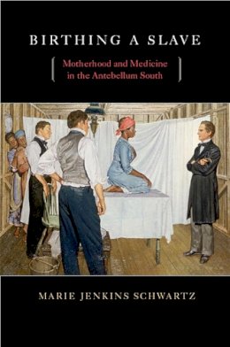 Marie Jenkins Schwartz - Birthing a Slave: Motherhood and Medicine in the Antebellum South - 9780674034921 - V9780674034921