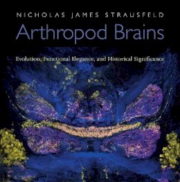 Nicholas James Strausfeld - Arthropod Brains: Evolution, Functional Elegance, and Historical Significance - 9780674046337 - V9780674046337