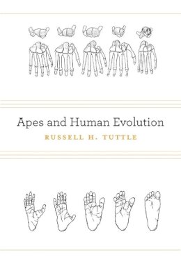 Russell H. Tuttle - Apes and Human Evolution - 9780674073166 - V9780674073166