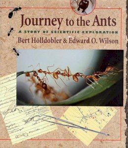 Bert Hölldobler - Journey to the Ants - 9780674485266 - V9780674485266