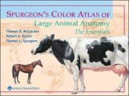 Thomas O. Mccracken - Spurgeon's Color Atlas of Large Animal Anatomy - 9780683306736 - V9780683306736