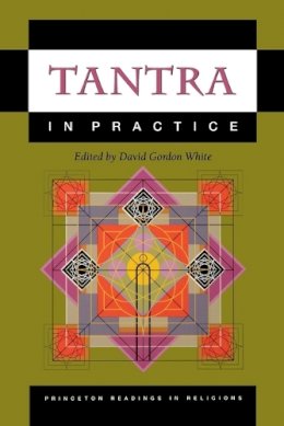 White - Tantra in Practice - 9780691057798 - V9780691057798