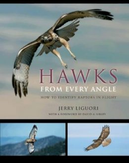 Jerry Liguori - Hawks from Every Angle: How to Identify Raptors In Flight - 9780691118253 - V9780691118253