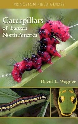 David L. Wagner - Caterpillars of Eastern North America: A Guide to Identification and Natural History - 9780691121444 - V9780691121444