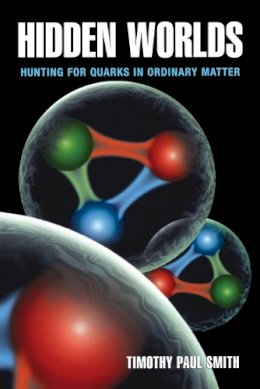 Timothy Paul Smith - Hidden Worlds: Hunting for Quarks in Ordinary Matter - 9780691122410 - V9780691122410