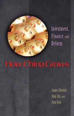 James Riedel - How China Grows: Investment, Finance, and Reform - 9780691125626 - V9780691125626