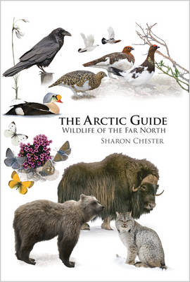 Sharon R. Chester - The Arctic Guide: Wildlife of the Far North - 9780691139753 - V9780691139753