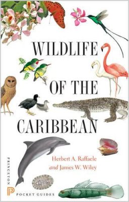 Herbert A. Raffaele - Wildlife of the Caribbean - 9780691153827 - V9780691153827