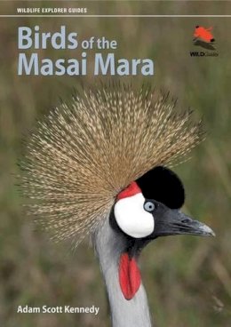 Adam Scott Kennedy - Birds of the Masai Mara - 9780691155944 - V9780691155944