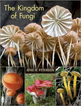 Jens H. Petersen - The Kingdom of Fungi - 9780691157542 - V9780691157542