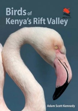 Adam Scott Kennedy - Birds of Kenya´s Rift Valley - 9780691159072 - V9780691159072