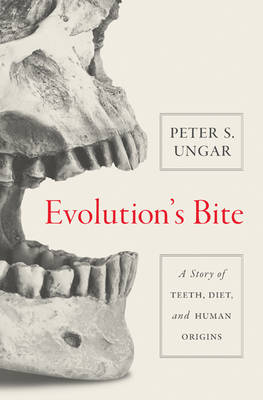 Peter S. Ungar - Evolution´s Bite: A Story of Teeth, Diet, and Human Origins - 9780691160535 - V9780691160535