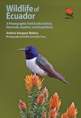 Andres Vasquez Noboa - Wildlife of Ecuador: A Photographic Field Guide to Birds, Mammals, Reptiles, and Amphibians - 9780691161365 - V9780691161365