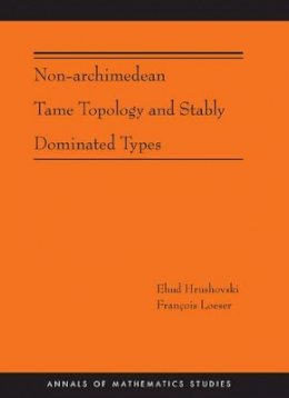 Ehud Hrushovski - Non-Archimedean Tame Topology and Stably Dominated Types (AM-192) - 9780691161693 - V9780691161693