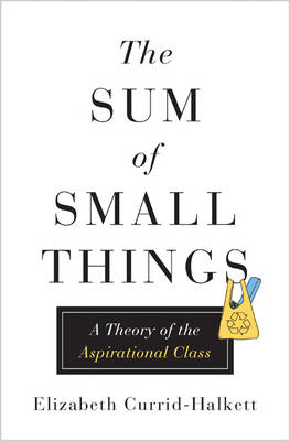 Elizabeth Currid-Halkett - The Sum of Small Things: A Theory of the Aspirational Class - 9780691162737 - V9780691162737