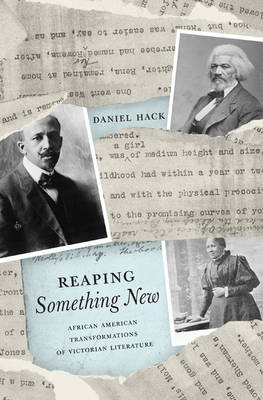 Daniel Hack - Reaping Something New: African American Transformations of Victorian Literature - 9780691169453 - V9780691169453