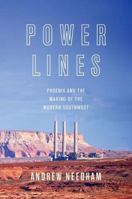 Andrew Needham - Power Lines: Phoenix and the Making of the Modern Southwest - 9780691173542 - V9780691173542