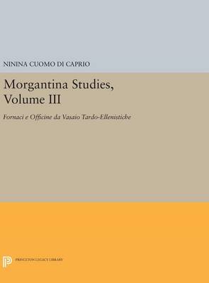 Ninina Cuomo Di Caprio - Morgantina Studies, Volume III: Fornaci e Officine da Vasaio Tardo-ellenistiche. (In Italian) (Late Hellenistic Potters´ Kilns and Workshops) - 9780691634142 - V9780691634142