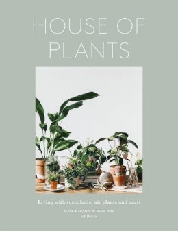 Ray, Rose, Langton, Caro - House of Plants: Living with Succulents, Air Plants and Cacti - 9780711238374 - V9780711238374