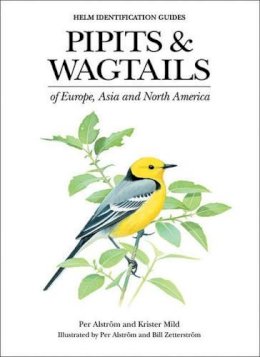 Per Alström - Pipits and Wagtails of Europe, Asia and North America - 9780713658347 - V9780713658347