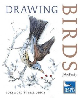 John Busby - Drawing Birds - 9780713668162 - V9780713668162