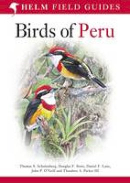 Stotz, Douglas F., Schulenberg, Thomas S., O'neill, John P., Parker Iii, Theodore A. - Birds of Peru - 9780713686739 - V9780713686739