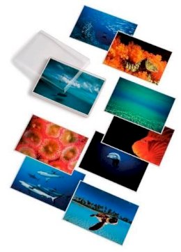 David Doubilet - Water Light Time Postcards - 9780714842271 - V9780714842271
