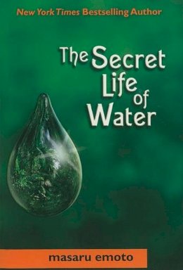 Masaru Emoto - The Secret Life of Water - 9780743290326 - V9780743290326