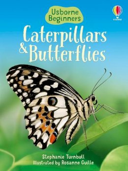 Stephanie Turnbull - Caterpillars and Butterflies (Beginners) - 9780746074473 - V9780746074473