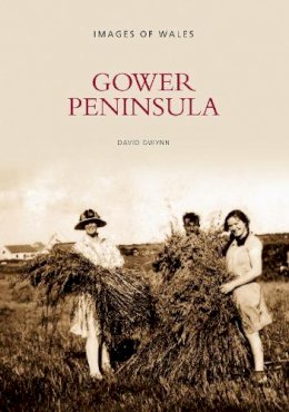 David Gwynn - Gower Peninsula: Images of Wales - 9780752426150 - V9780752426150