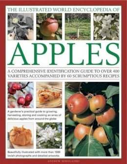 Andrew Mikolajski - The Illustrated World Encyclopedia of Apples: A comprehensive identification guide to over 400 varieties accompanied by 60 scrumptious recipes - 9780754820666 - V9780754820666