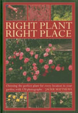 Jackie Matthews - Right Plant Right Place - 9780754826903 - V9780754826903