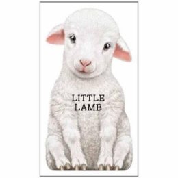 L. Rigo - Little Lamb: Look at Me - 9780764164279 - KOG0000195