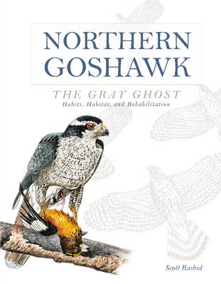 Scott Rashid - Northern Goshawk, the Gray Ghost: Habits, Habitat, and Rehabilitation - 9780764349904 - V9780764349904