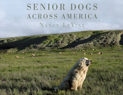 Nancy Levine - Senior Dogs Across America: Portraits of Man´s Best Old Friend - 9780764351112 - V9780764351112