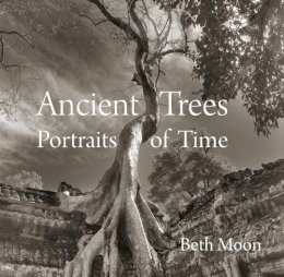 Beth Moon - Ancient Trees: Portraits of Time - 9780789211958 - V9780789211958