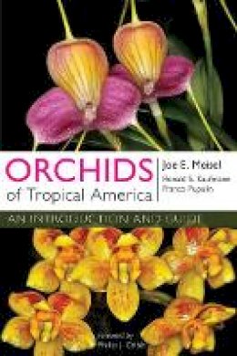 Joe E. Meisel - Orchids of Tropical America: An Introduction and Guide - 9780801453359 - V9780801453359