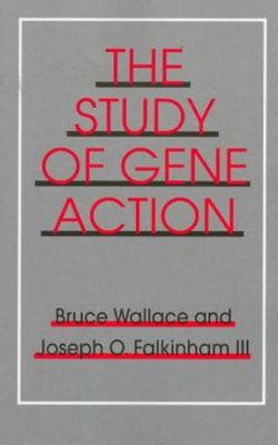 Wallace, Bruce, Falkinham, Joseph O. - The Study of Gene Action - 9780801483400 - KEX0212322