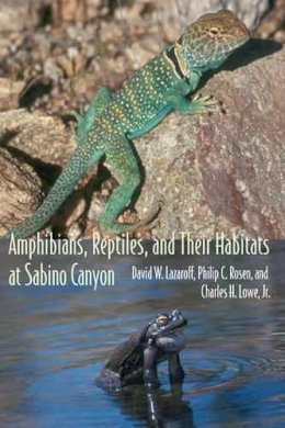 David W. Lazaroff - Amphibians, Reptiles, and Their Habitats at Sabino Canyon (The Southwest Center Series) - 9780816524952 - V9780816524952